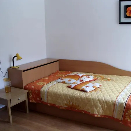 Pop Nikolovata Kushta Guest house Tryavna